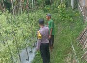Polres Loteng Terus Kampanyekan Pekarangan Bergizi di Masyarakat.