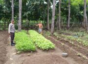 Bhabinkamtibmas Polsek Buer Sambangi Warga, Dukung Ketahanan Pangan Nasional