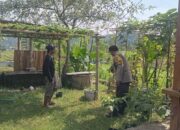 Ketahanan Pangan Kuat: Inisiatif Lahan Bergizi di Lombok Barat