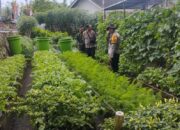 Polres Loteng Tinjau Pekarangan Lahan Bergizi Milik Warga di Janapria.