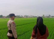 Polisi & Mahasiswa Bersatu, Warga Terinspirasi Kembangkan Pertanian di Desa Terong Tawah