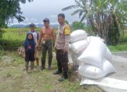 Pekarangan Produktif, Keluarga Sejahtera: Sukses Desa Beleka Wujudkan Ketahanan Pangan