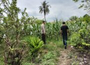 Inovasi Bhabinkamtibmas Lombok Barat: Bukan Hanya Kamtibmas, Tapi Juga Ketahanan Pangan!