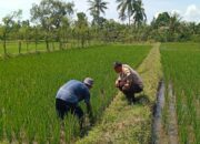 Sentuhan Polisi di Merembu: Pangan Kuat, Desa Aman