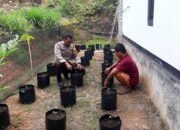 Polres Loteng Tinjau Pekarangan Lahan Bergizi Milik Warga di Pujut, Dukung Asta Cita Presiden RI