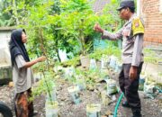 Wujud Ketahanan Pangan, Polres Loteng Masifkan Sosialisasi Pekarangan Bergizi di Tengah Masyarakat