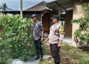 Bhabinkamtibmas Desa Selebung Polsek Batukliang Apresiasi Warga Manfaatkan Lahan Pekarangan untuk Ketahanan Pangan.