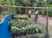 Polres Lombok Tengah Apresiasi Masyarakat Manfaatkan Pekarangan Rumah untuk Pekarangan Bergizi