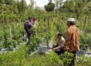 Bhabinkamtibmas Desa Pendem Polsek Janapria Sambangi Lahan Warga Binaan Dukung Ketahanan Pangan