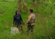 Ketahanan Pangan: Bhabinkamtibmas Turun ke Sawah