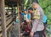 Dari Beternak dan Berkebun: Polisi Ini Ubah Mindset Warga demi Ketahanan Pangan