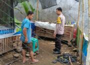 DDS Bhabinkamtibmas di Labuapi: Sentuh Hati Warga, Pekarangan Subur, Pangan Aman!