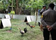 Kapolsek Batulayar: Komitmen Nyata untuk Keamanan Lombok Barat