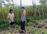 Bhabinkamtibmas Desa Marada Pantau Pengolahan Lahan Pertanian Warga