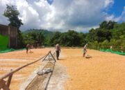 Bhabinkamtibmas Desa Karombo Pantau Panen Raya Jagung dalam Program Ketahanan Pangan Nasional