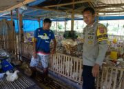 Dukung Ketahanan Pangan, Bhabinkamtibmas Desa Sermong Monitoring Ayam Potong Milik Warga Binaan