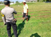 Bhabinkamtibmas Desa Maluk Lakukan Sambang ke Petani, Monitoring Pekarangan Pangan Bergizi