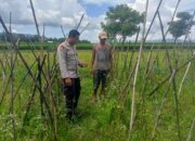 Dukung Ketahanan Pangan, Bhabinkamtibmas Kelurahan Kandai 1 Pantau dan Motivasi Petani