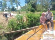 Bhabinkamtibmas Desa Rarak Ronges Lakukan Pendampingan Panen Jagung