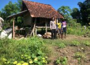 Bhabinkamtibmas Desa Katua Pantau Pengolahan Lahan Pertanian untuk Dukung Ketahanan Pangan