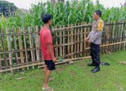 Bhabinkamtibmas Marada Pantau Pengolahan Lahan Pertanian, Dorong Petani Berinovasi