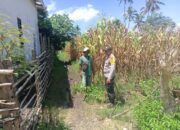 Polisi Pantau Lahan Pertanian di Dompu, Dukung Ketahanan Pangan Nasional