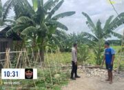 BHABINKAMTIBMAS DESA MAMA SAMBANGI PETANI, DUKUNG KETAHANAN PANGAN