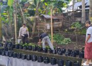 Sinergi Polisi & Warga: Wujudkan Desa Mandiri Pangan di Kuripan Utara