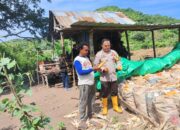 Bhabinkamtibmas Desa Sekongkang Bawah Berikan Pendampingan Panen Jagung di Dua Lahan Milik Warga