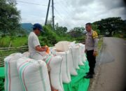 Bhabinkamtibmas Desa Ranggo Monitoring Lahan Jagung, Dukung Program Ketahanan Pangan Nasional