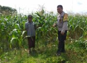 Ketahanan Pangan Lombok Barat: Sinergi Polisi dan Warga di Dusun Tegal