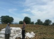 Pemantauan Lahan Pertanian dalam mendukung program ketahanan pangan Nasional