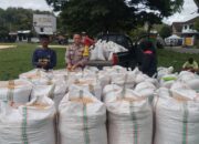 Bhabinkamtibmas Desa Ta’a Pantau Penjemuran Jagung, Dukung Ketahanan Pangan Nasional