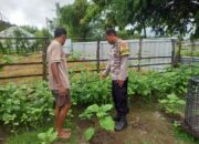 Bhabinkamtibmas Desa Dasan Anyar Monitoring Ketahanan Pangan