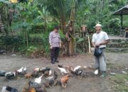 Sinergi Polri & Warga: Pekarangan Jadi Sumber Pangan Mandiri