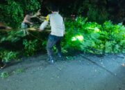 Kabel Listrik Melintang Di Jalan Akibat Pohon Tumbang, Polsek Labuhan Badas Amankan Arus Lalu Lintas Hingga Evakuasi