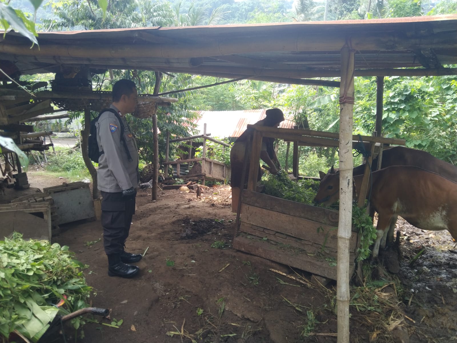 Ketahanan Pangan dari Rumah: Polri Ajak Warga Tanam Sayur di Pekarangan