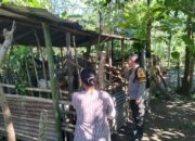 Optimalisasi Pekarangan untuk Ketahanan Pangan: Inisiatif Polri di Lombok Barat