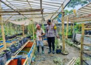 Polri Terlibat Aktif dalam Ketahanan Pangan Nasional melalui Kegiatan Sambang di Lombok Barat