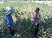 Sinergi Polri dan Petani Dorong Produktivitas Pertanian Desa