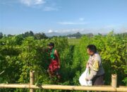 Dukung Program Nasional, Bhabinkamtibmas Sosialisasikan Ketahanan Pangan