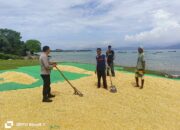 Pemantauan Proses Penjemuran Jagung oleh Bhabinkamtibmas Desa Hu’u dalam Mendukung Program Ketahanan Pangan Nasional