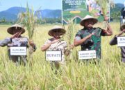 Kapolres Sumbawa Barat Hadiri Panen Raya Padi di Desa Rempe