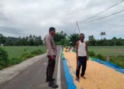 Bhabinkamtibmas Desa Adu Dampingi Warga Jemur Jagung, Dukung Ketahanan Pangan Nasional