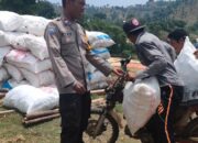 Dukung Ketahanan Pangan, Bhabinkamtibmas Kelurahan Nitu Lakukan Pengecekan Hasil Panen Jagung Petani