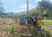 Bhabinkamtibmas Desa Adu Pantau Pengeringan Jagung, Dukung Ketahanan Pangan Menuju Indonesia Emas