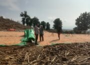 Bhabinkamtibmas Simpasai Pantau Panen Jagung Dukung Ketahanan Pangan Nasional