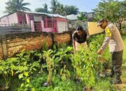 Optimalisasi Pekarangan, Bhabinkamtibmas Nowa Pantau Pengolahan Lahan Sayur Warga