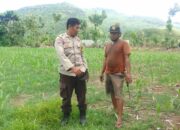 Dukung Ketahanan Pangan, Bhabinkamtibmas Desa Bara Pantau Pengolahan Lahan Jagung Musim Kedua