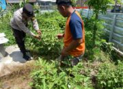 Dukung Ketahanan Pangan, Bhabinkamtibmas Desa Tuananga Monitoring Pekarangan Bergizi Warga Binaan